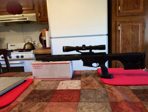 AR15 Using DSX Products